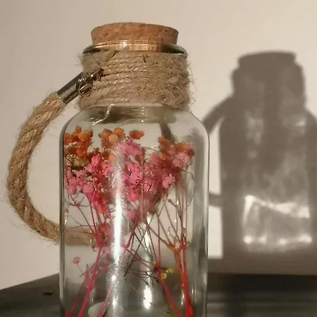 Bersimi Lazaridis 아파트 Rhodes City